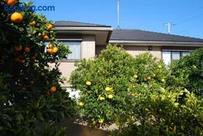 Minpaku Orange Garden - Vacation STAY 18601 - Image 1