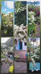 Chez Anna et Hugues - Image 2