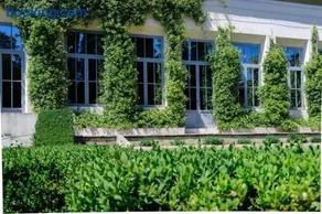 Villa Bibbiani - Image 3