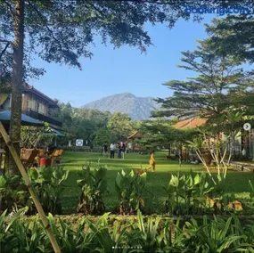 Osfa Villa - Image 5