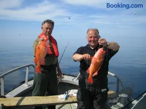 Havglimt - Image 5