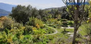 Cortijo Opazo - Image 3