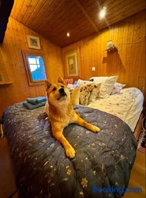 Un nid au paradis - Chalet traditionnel avec beaucoup de cachet - Image 4