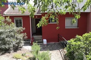 Susan Home - Image 1