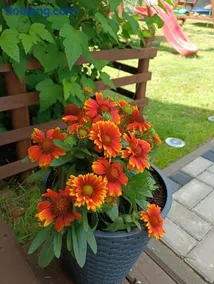 Domek pod Dębami Bogaczewo - Image 3