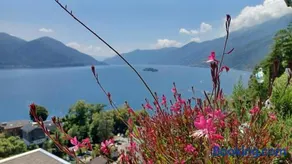 Sollevante Ascona mit Pool und fantastischer Seesicht - Image 3