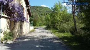 les lavandes - Image 1