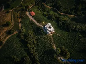 wicky villa - Image 1