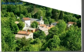 les lavandes - Image 2