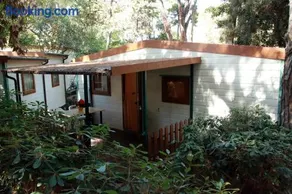 Apartamento ideal para familias con sauna, piscina y barbacoa | Acepta mascotas - Image 3