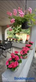 Casa Camelia - Image 2
