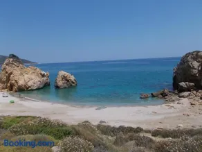 Leonidas - Image 1
