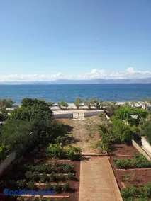 Apartments Zvone,place by the sea - Image 3