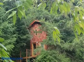 Large Estate Venue 2 hot tubs 2 treehouses - Image 2