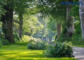 Woodovis Park - Image 4