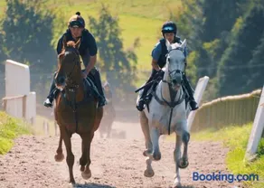 Pant Wilkin Lodges And Equestrian Centre - Image 4