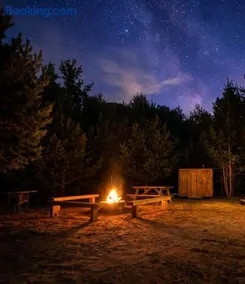 Cozy Woodland Bunkie Outdoor Shower WiFi - Image 2