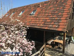 Weingut-Gästezimmer Pongratz - Image 2