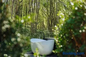 Luxury Mirror Home in Byron Bay Hinterland - Image 2