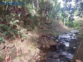 Fare PAO PAO bungalow tropical - Image 2