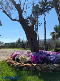 Casa Vacanza Capozzoli - Image 1