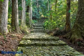シングウノイエ【貸切】熊野古道　速玉大社　那智の滝　神倉神社　マグロ　和歌山ラーメン　 - Image 2