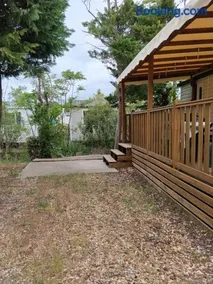 Camping du sud - Image 4