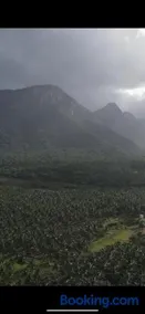 Yes Yes Farms - Image 2