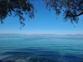 An Oasis By The Beach - Image 2