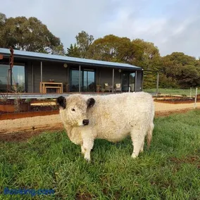 Mygunyah Farmstay - Image 1