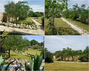 Mandrina House - Image 4