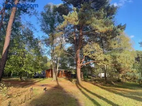 Chalet dans les bois - Image 3