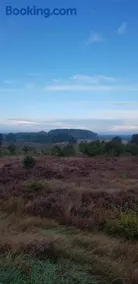 Knus huisje in het bos - Image 4