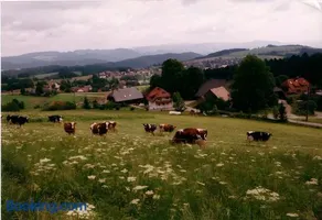 Ferien Auf Dem Steingrubenhof - Image 3
