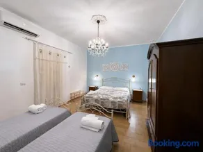Palmarì - Image 4