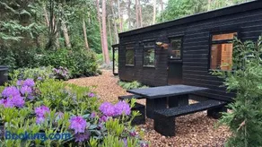 Heeren van Norg - het Boshuisje met Jacuzzi & Panorama Sauna - Image 1