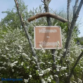 Entspannung im Zirkuswagen: außergewöhnliche und liebevoll eingerichtete Glamping-Unterkunft im Grünen - Image 1