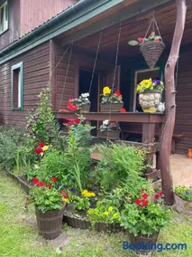 Dom na skraju Puszczy Białowieskiej - Image 1