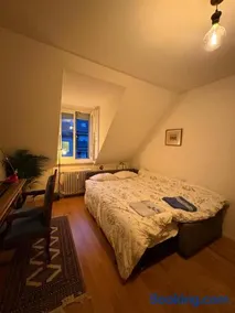 Cosy room in attic flat in the center of Zurich - Image 3