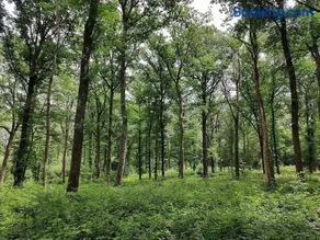 Gîte La vie au vert Spacieux et autonome - Image 4