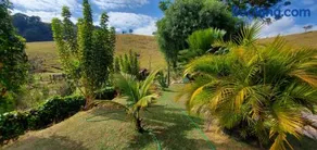 Sítio Alto do Paraíso - Image 4