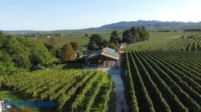 Relais Borgo Taurino - Image 5