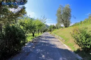 Il Gallo d' Oro - Oca - Image 2