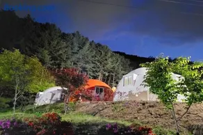 Wonju Forest Dome - Image 1