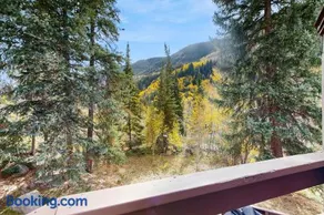Spruce Way 4 Vail Colorado - Image 4