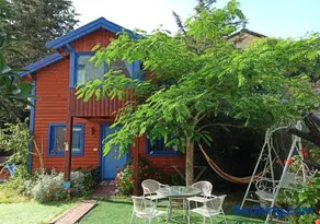 In our backyard - Metula - Image 1