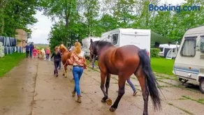 Boerderijcamping de Hinde - Image 2