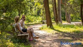 Molecaten Park De Leemkule - Image 3