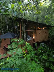 Bosque Veneza - Image 2