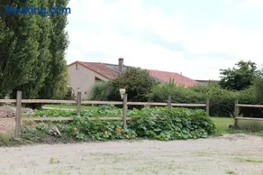 Domaine Dauget - Image 3